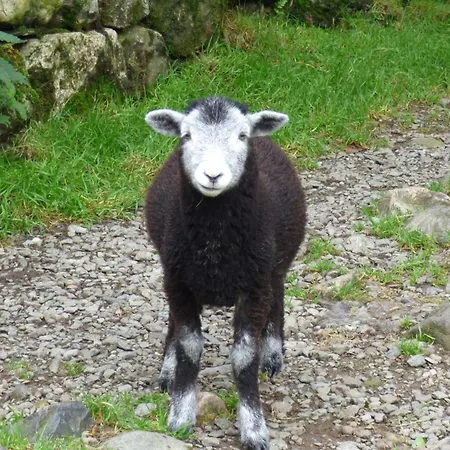 Holiday home Renovated 5 Bedroom Farmhouse In Picturesque Eskdale, Lake District Eskdale