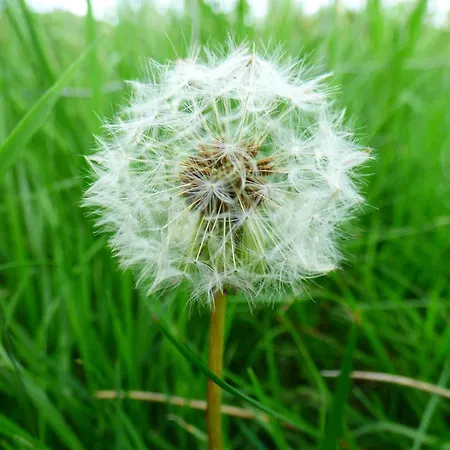 Renovated 5 Bedroom Farmhouse In Picturesque Eskdale, Lake District * Eskdale