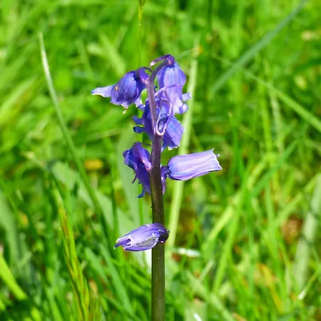 Renovated 5 Bedroom Farmhouse In Picturesque Eskdale, Lake District Eskdale