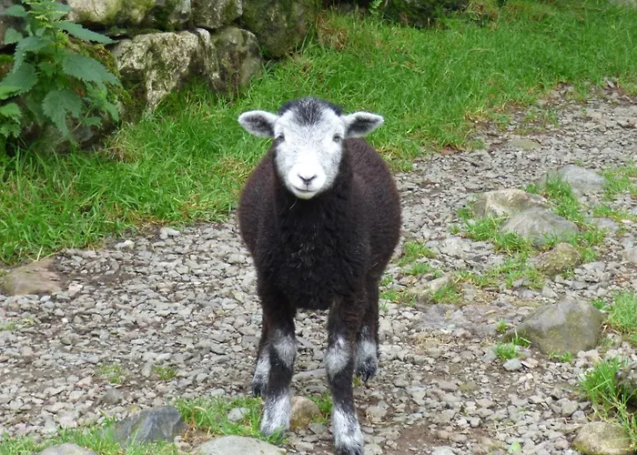 Holiday home Renovated 5 Bedroom Farmhouse In Picturesque Eskdale, Lake District Eskdale