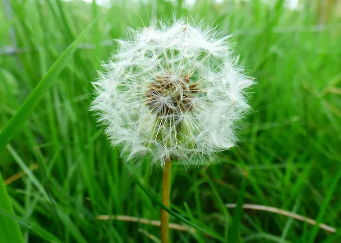 Renovated 5 Bedroom Farmhouse In Picturesque Eskdale, Lake District * Eskdale