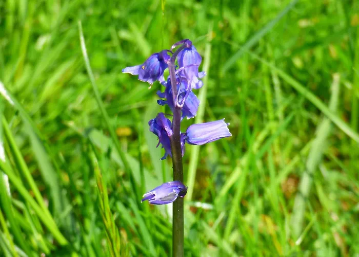 Renovated 5 Bedroom Farmhouse In Picturesque Eskdale, Lake District Eskdale